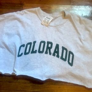 Brandy Melville Colorado cropped tee